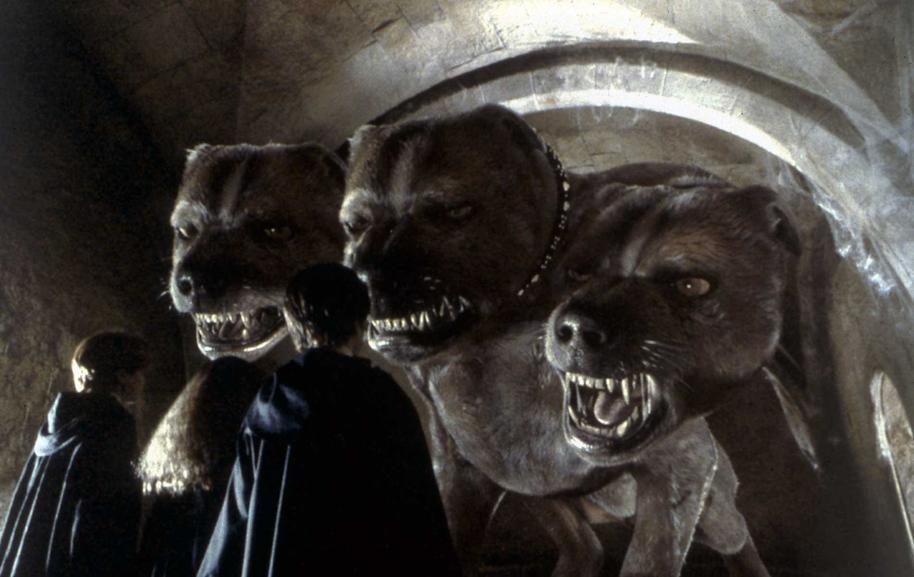 HP-F1-fluffy-the-three-headed-dog-web-landscape