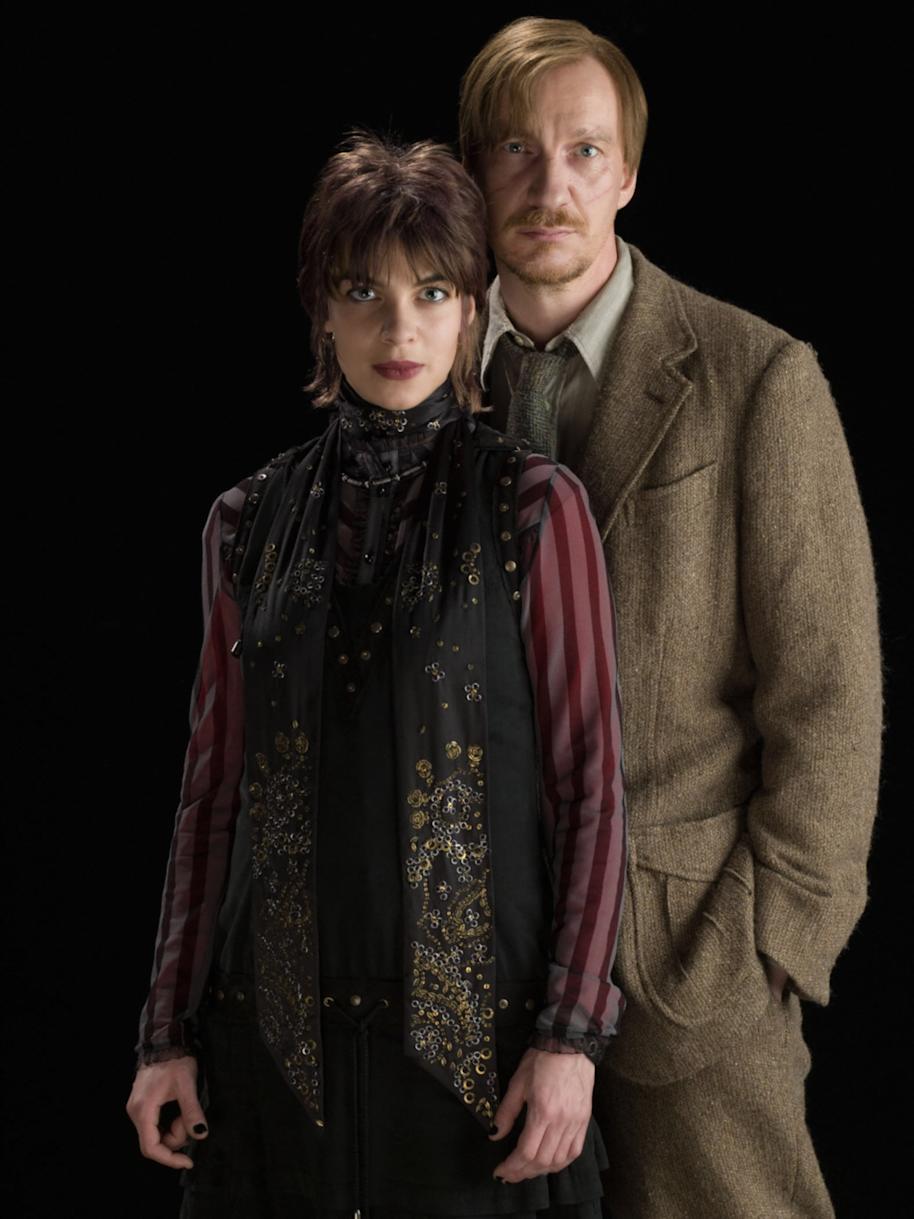 Tonk and Lupin standing together from the Half Blood Prince