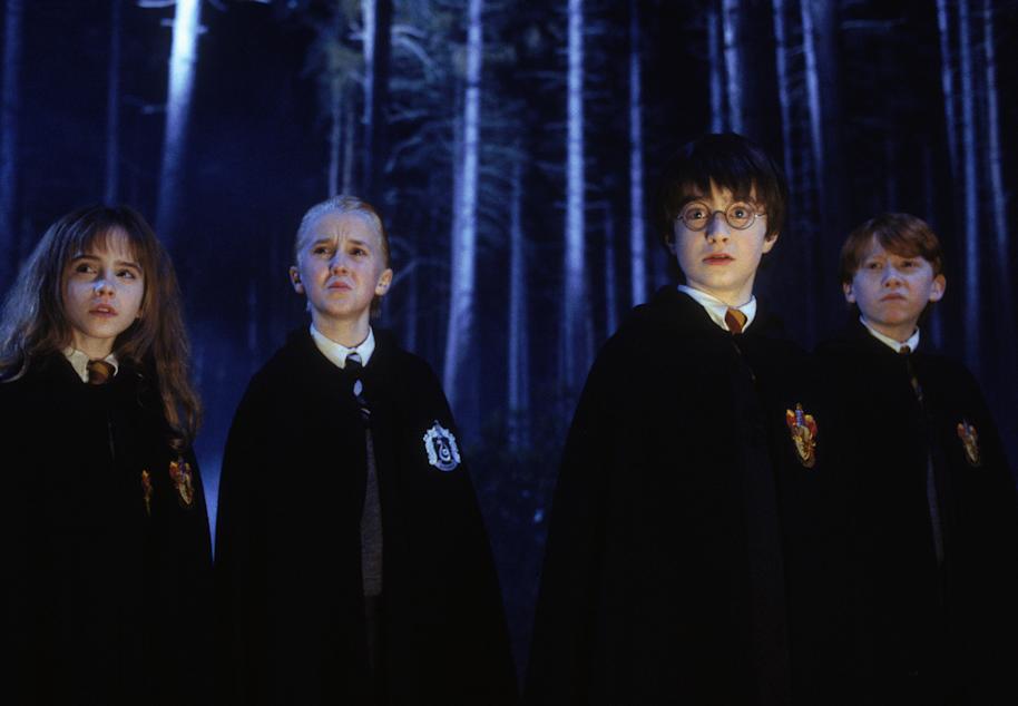 The Forbidden Forest Fact File Image the-forbidden-forest_1_1800x1248